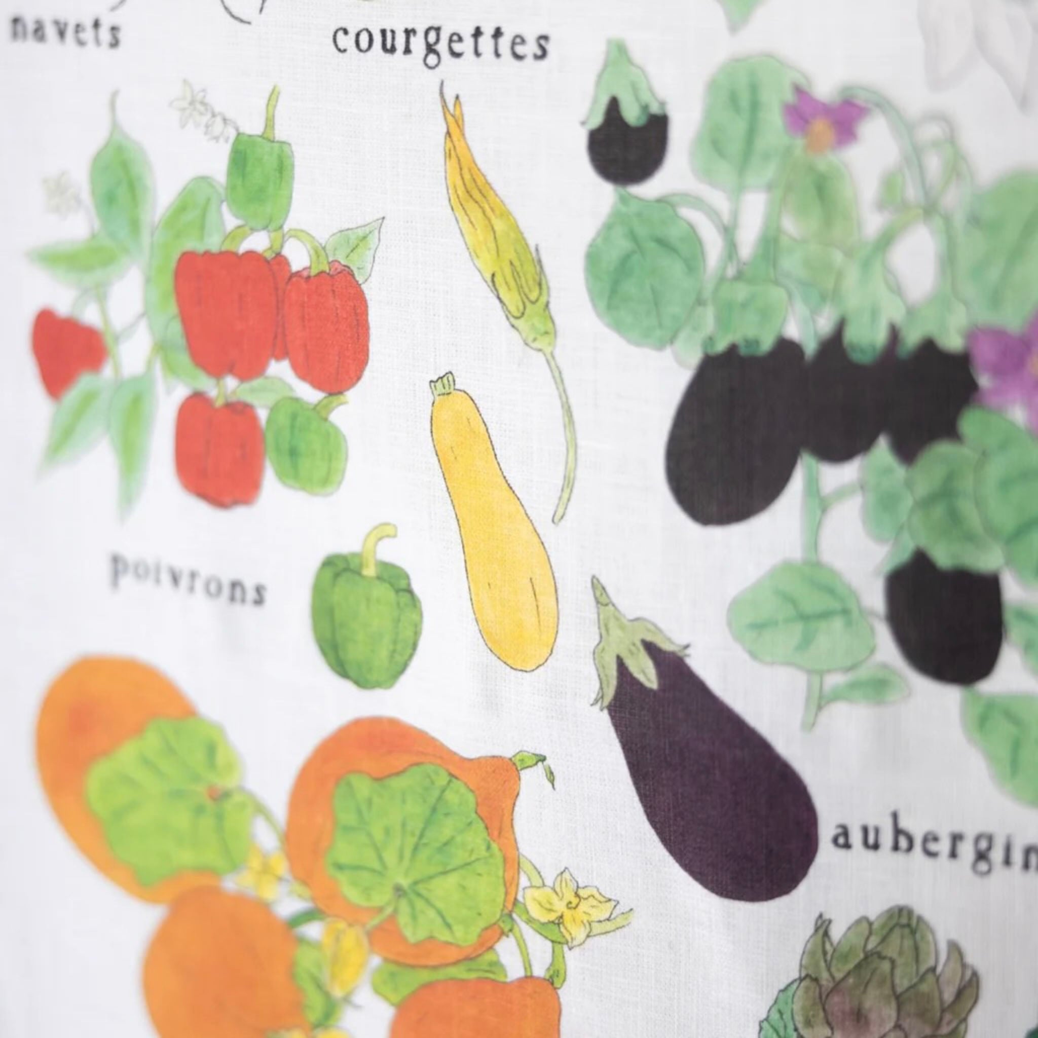 Illustration of various vegetables including peppers, zucchinis, and eggplants on a white background.