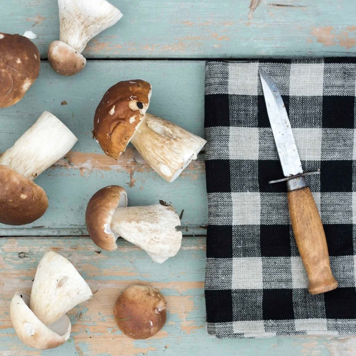 A styled flat-lay of wild mushrooms on a distressed light blue wooden surface next to a black and white checkered cloth and a hunting knife with a wooden handle.
