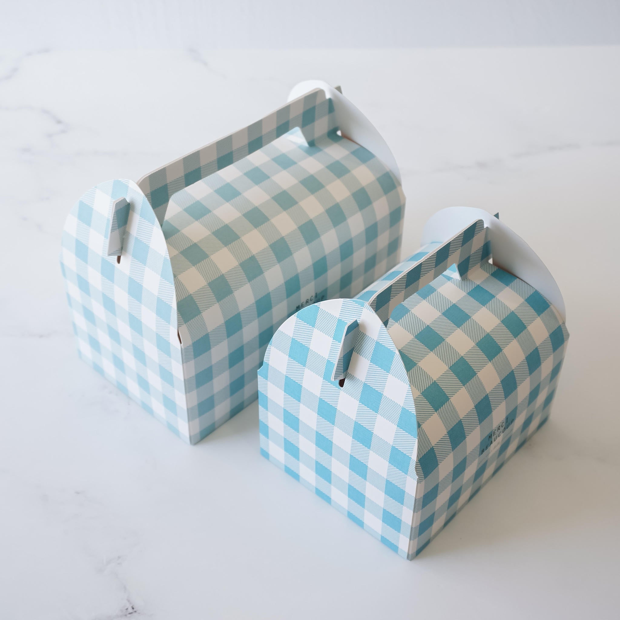 Two blue and white gingham patterned gift boxes with handles. The boxes are different sizes. The smaller box is in front of the larger box.