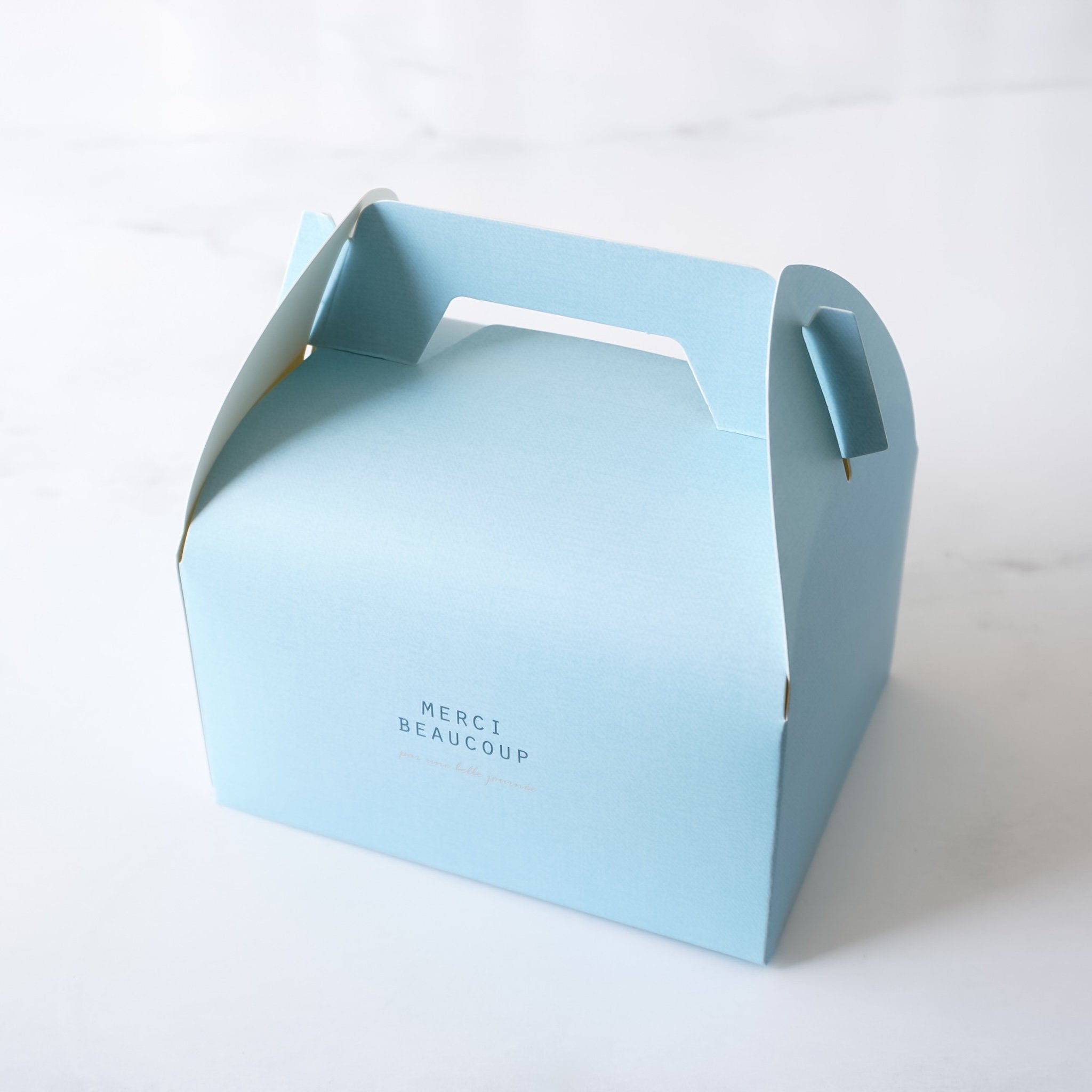 cookie box with handle in sky blue