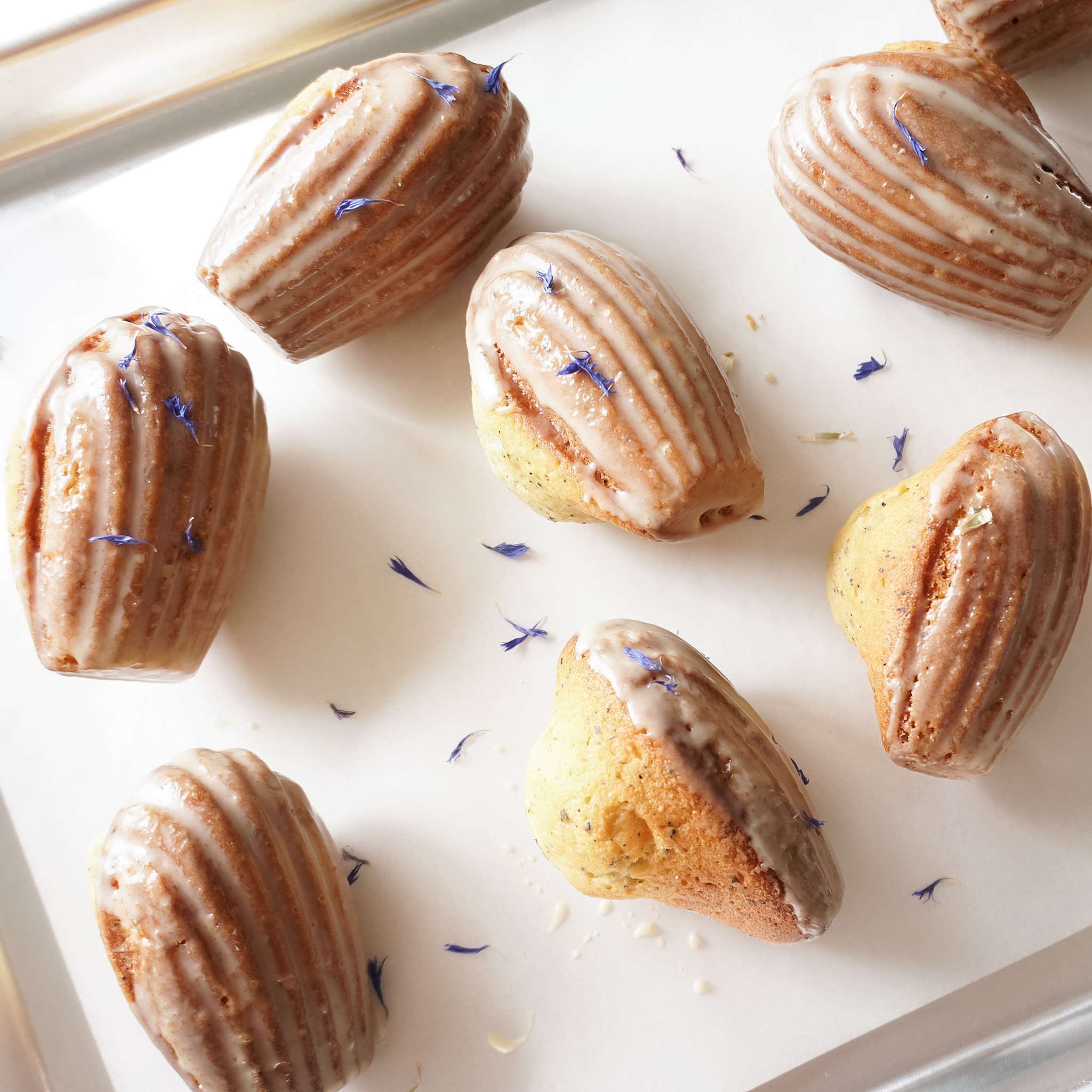 earl grey madeleines