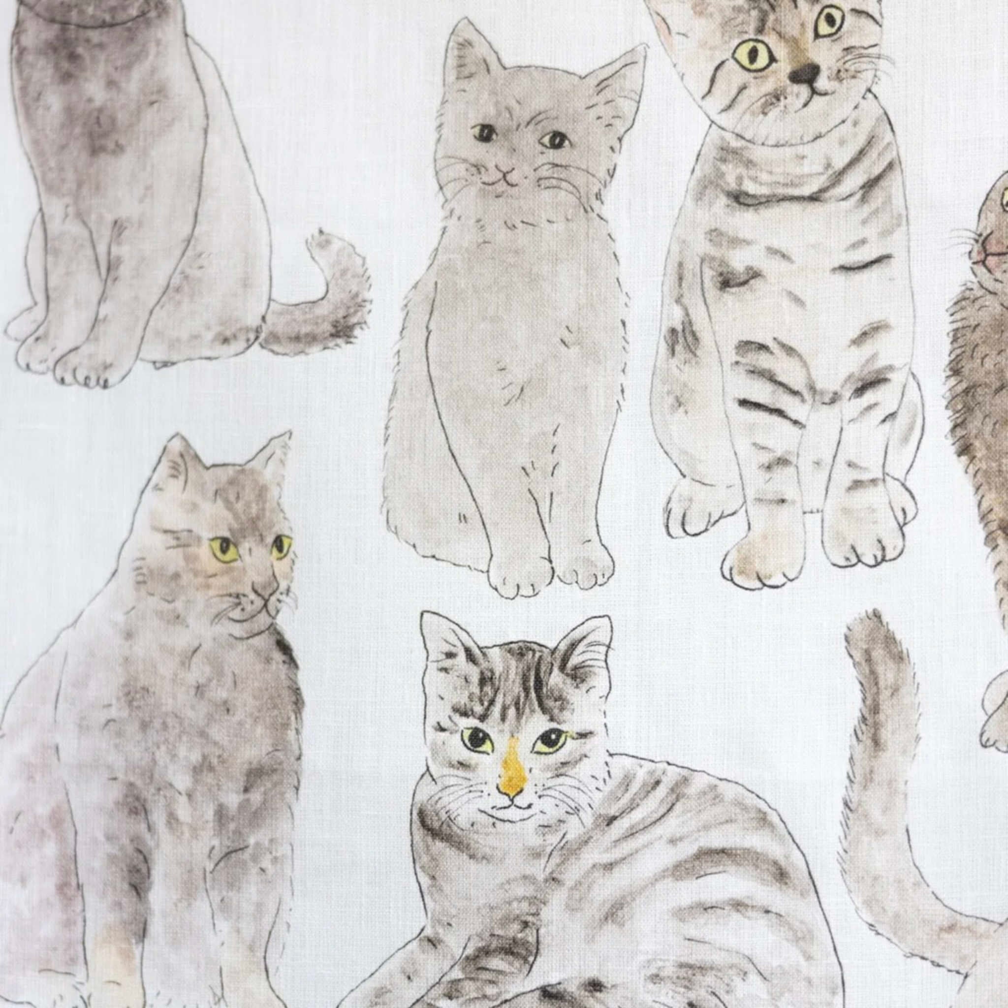 Illustrations of cats in various poses on a white background