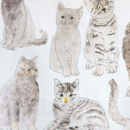 Illustrations of cats in various poses on a white background