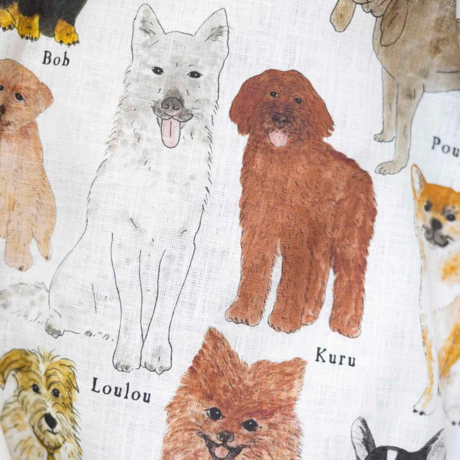 Illustrations of various dogs with names on a white background