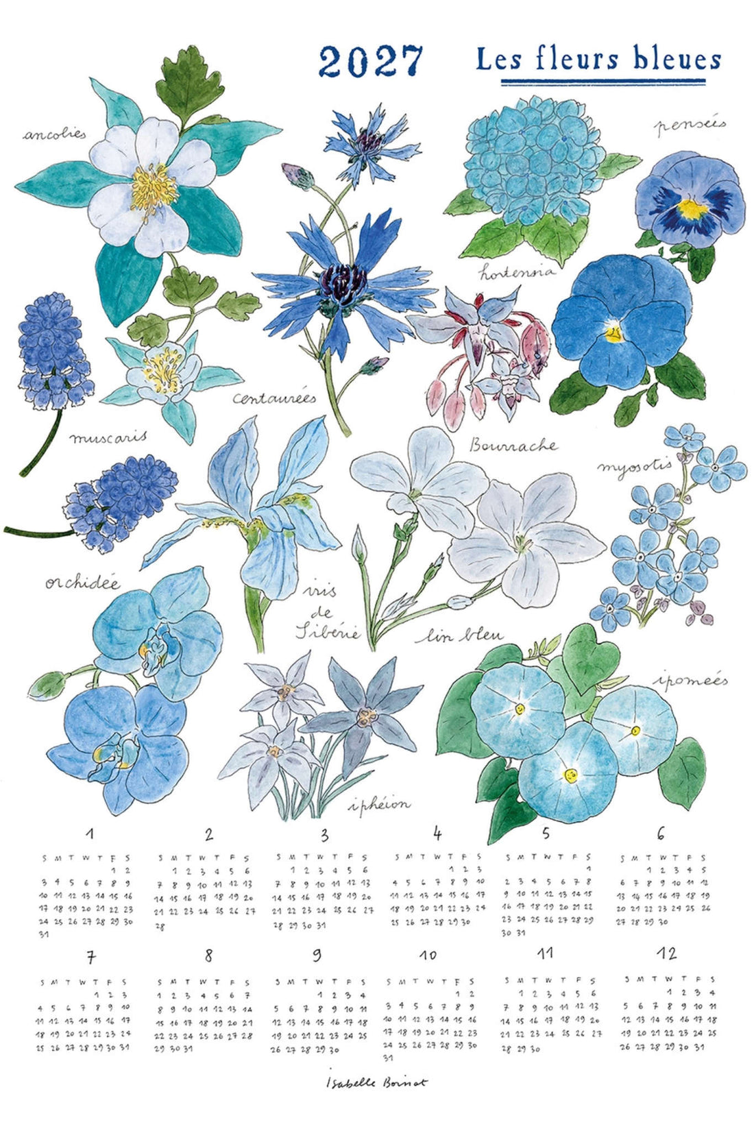 Calendar with illustrations of blue flowers for 2027, featuring the title &