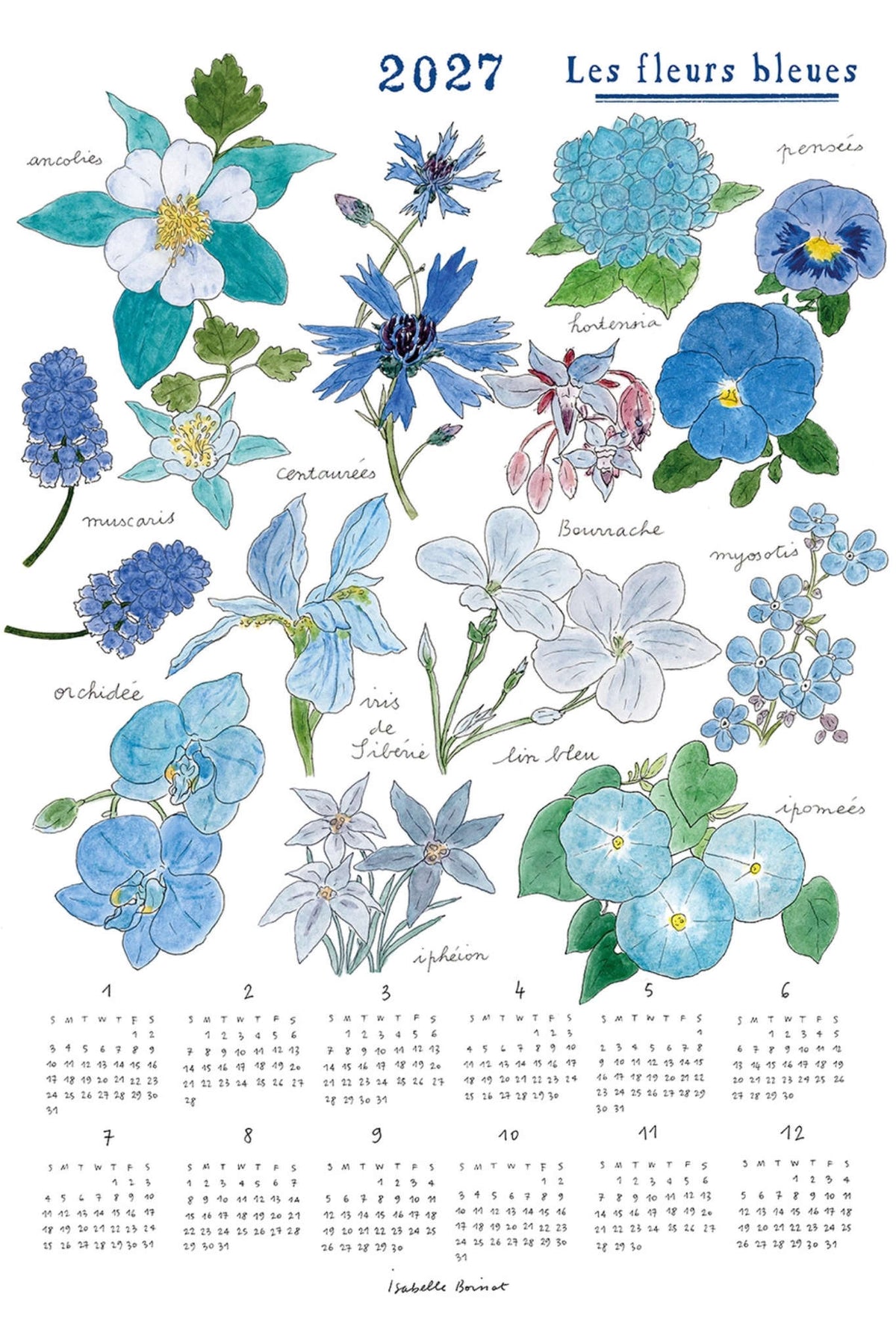 Calendar with illustrations of blue flowers for 2027, featuring the title &