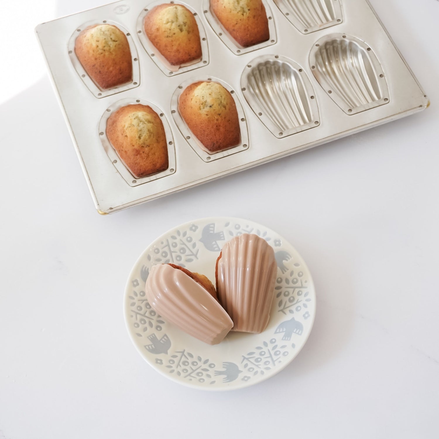 Madeleine cookies in a decorative mold and on a plate with a white background