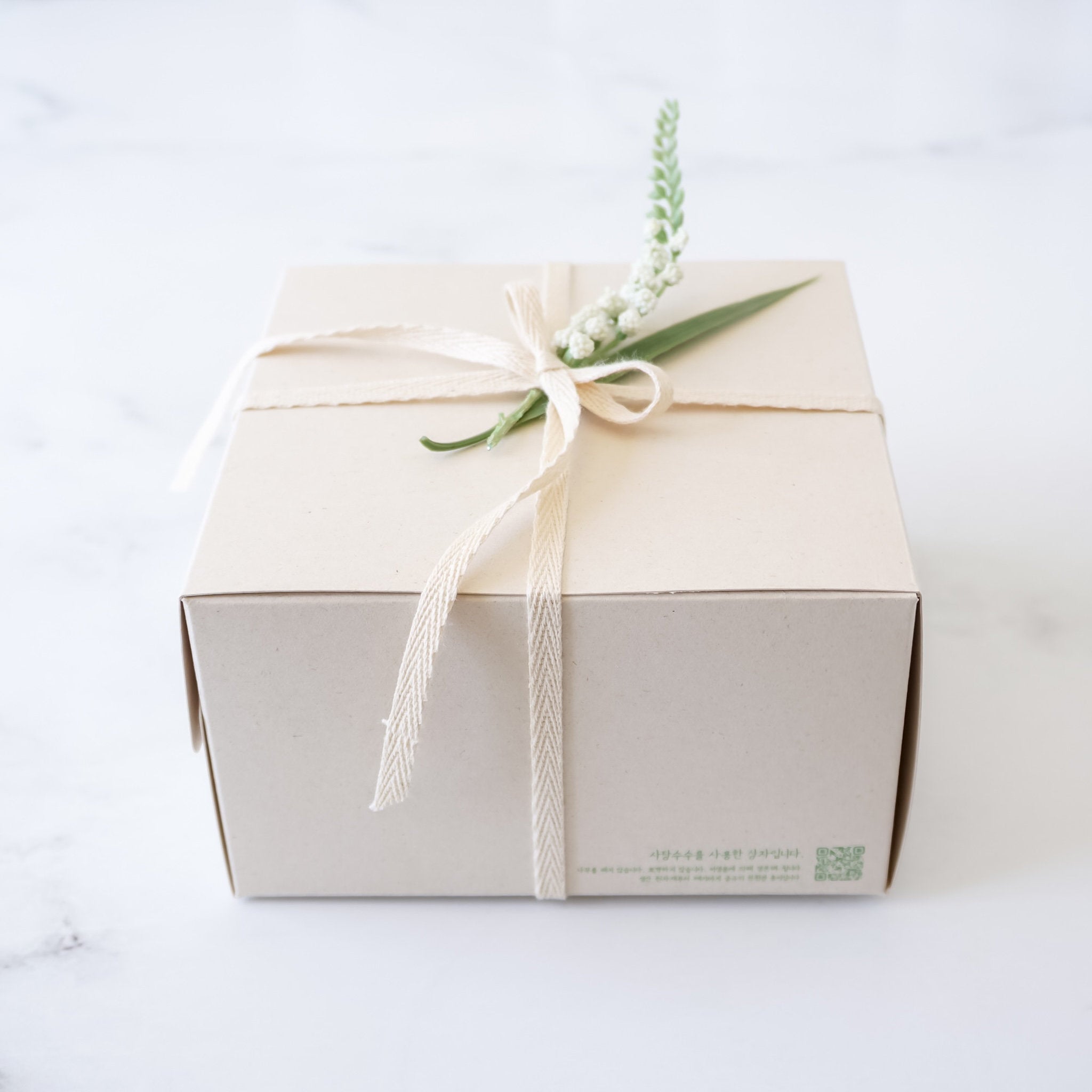 Gift box with a ribbon and decorative plant on a light background