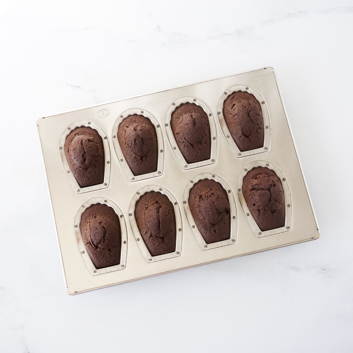Madeleine cake mold with eight cavity on a white background